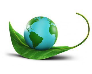 Environmental compliance, legal audit, monitor environmental parameters